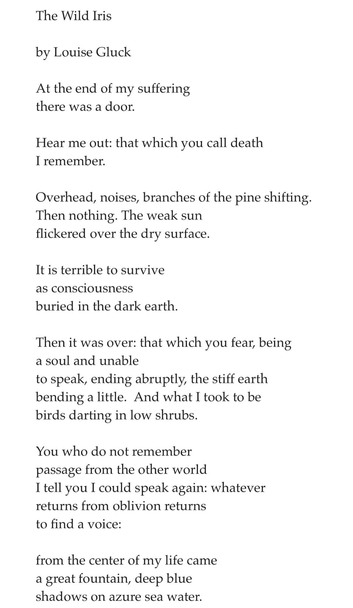 Descriptive alt text